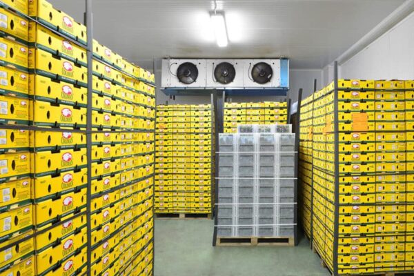 almacen de frio industrial con cajas empresa de Refrigeración para el sector distribución