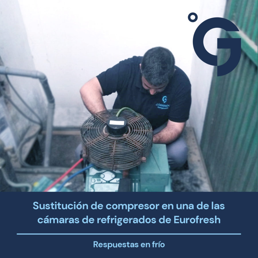 Eurofresh Trabajamos Para Lograr La óptima Refrigeración Del Aguacate 2377